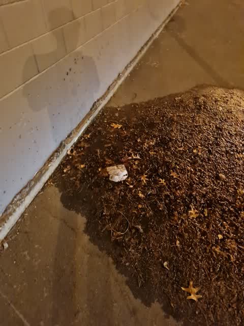 Water Leak, a report photo