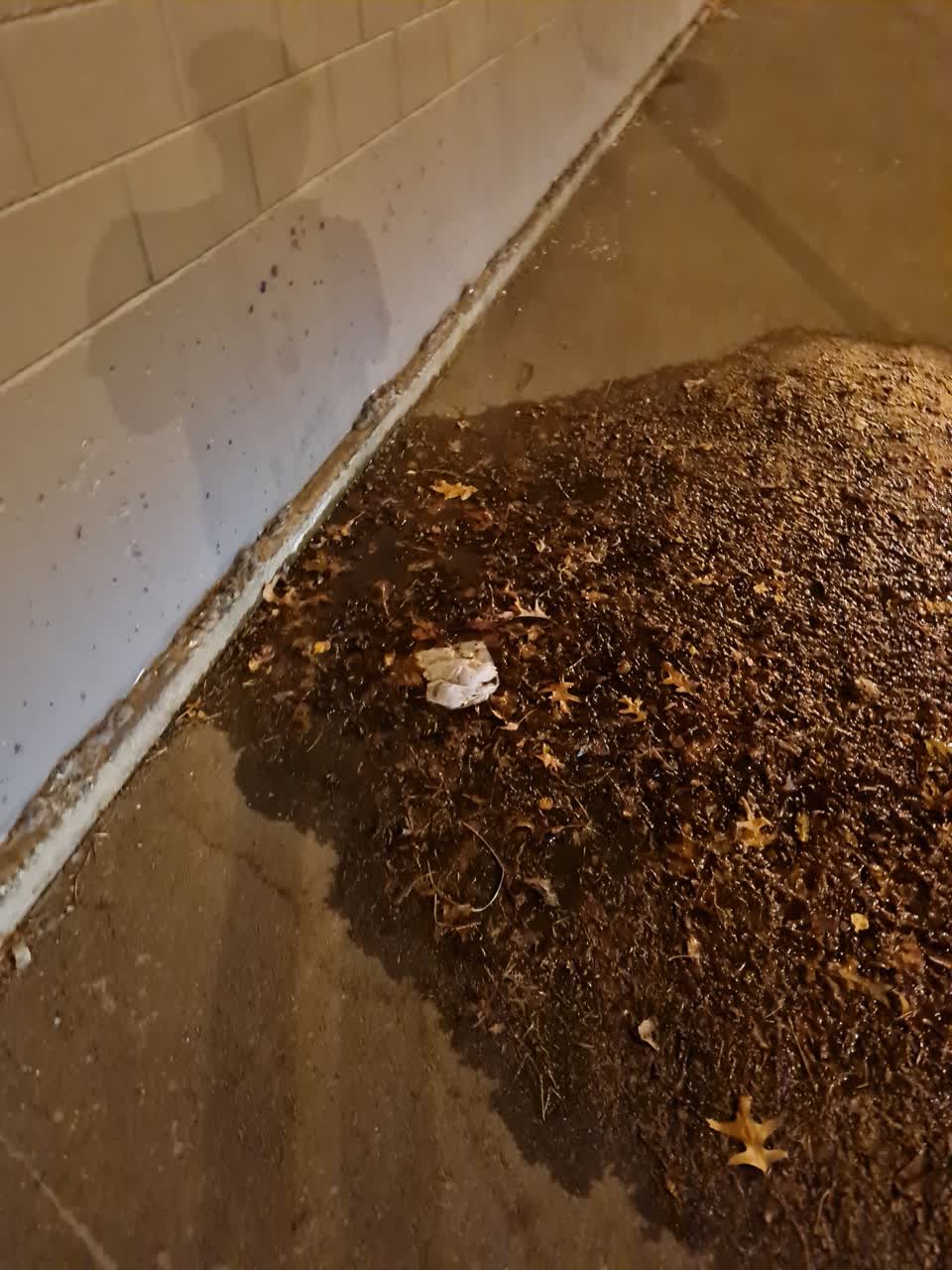 The photograph attached to this water leak report