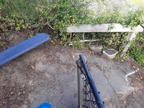 Roading/Streets, a report photo