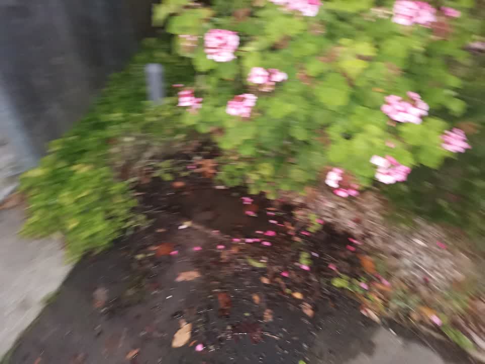 The photograph attached to this water leak report