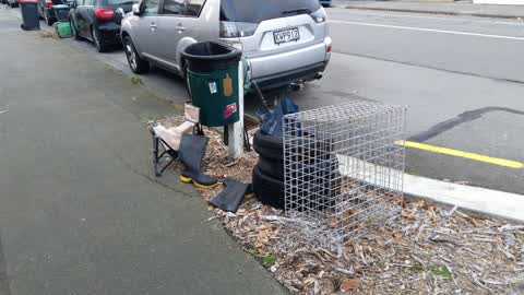 Rubbish/Recycling, a report photo