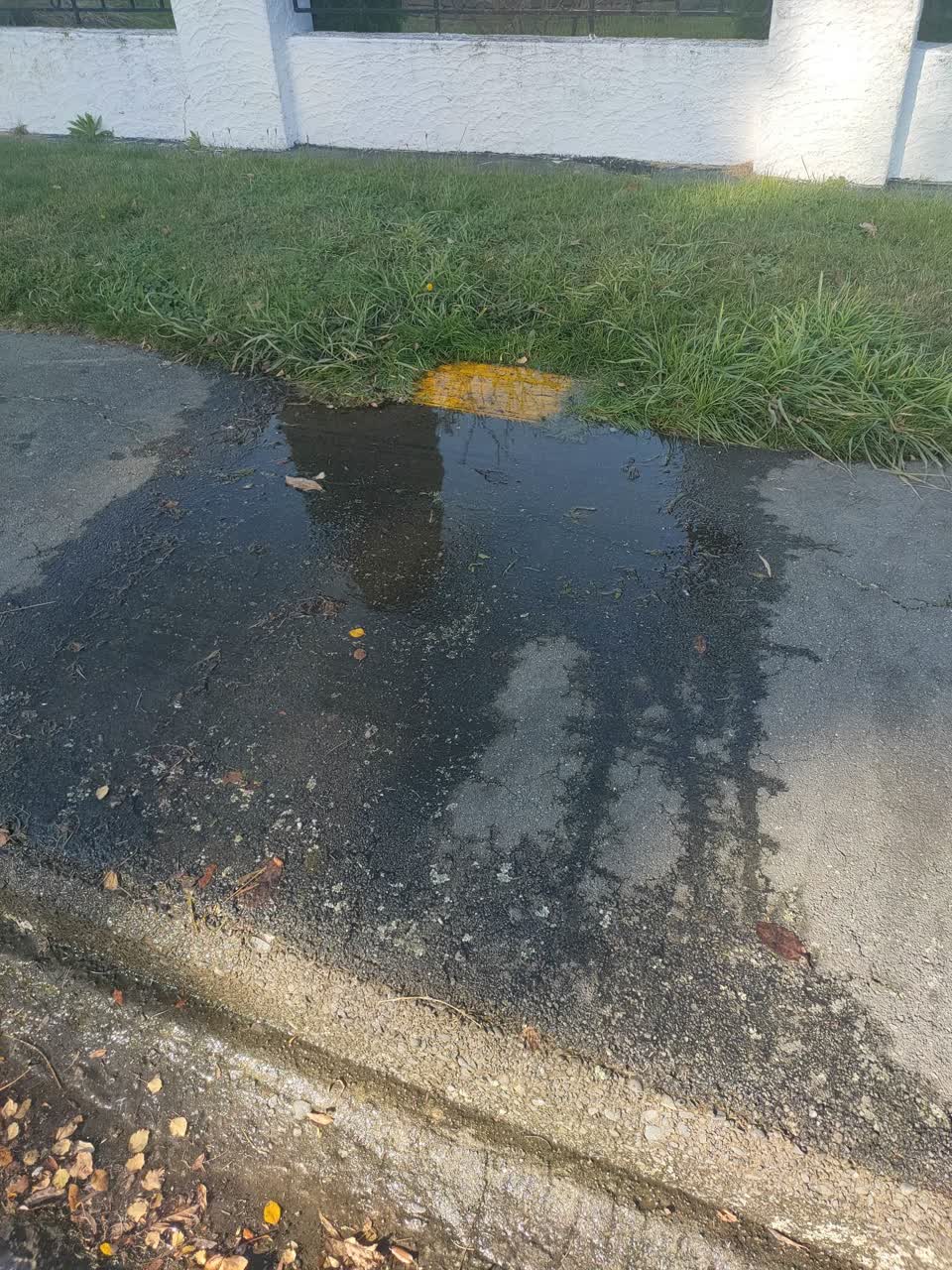 The photograph attached to this water leak report