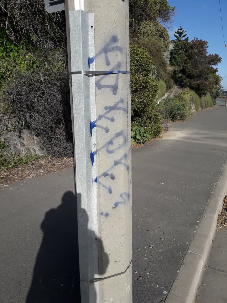 The photograph attached to this graffiti report