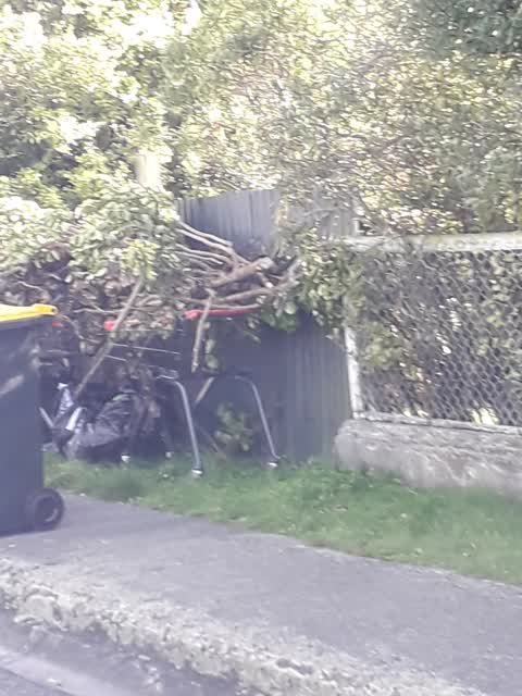 Rubbish/Recycling, a report photo