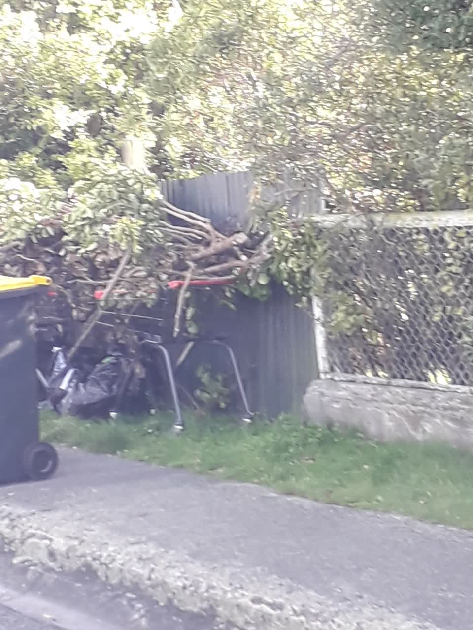 The photograph attached to this rubbish/recycling report