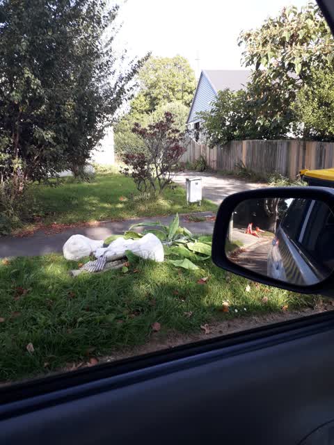 Rubbish/Recycling, a report photo
