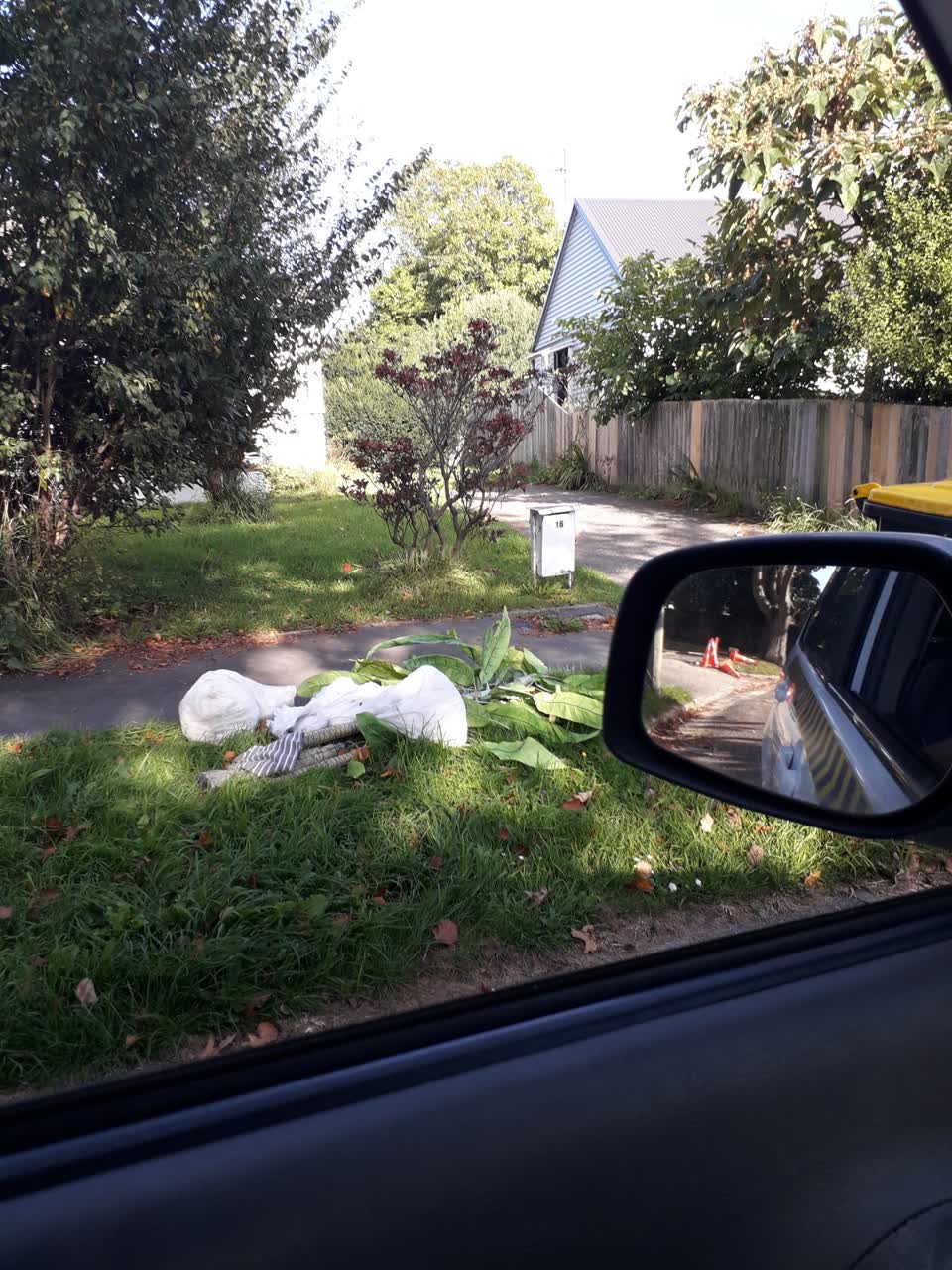 The photograph attached to this rubbish/recycling report