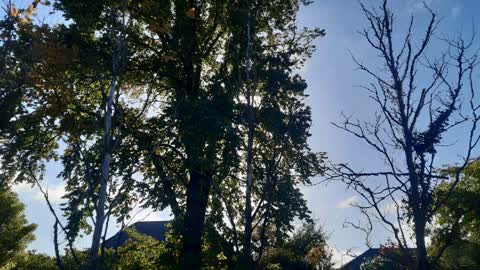 Parks, a report photo