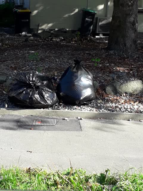 Rubbish/Recycling — a report photo