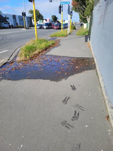 Water Leak, a report photo