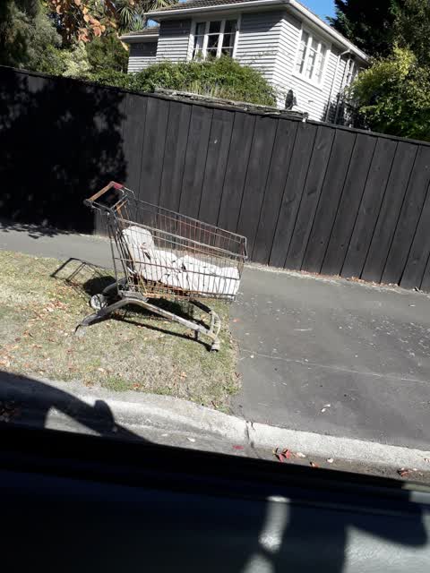 Rubbish/Recycling, a report photo