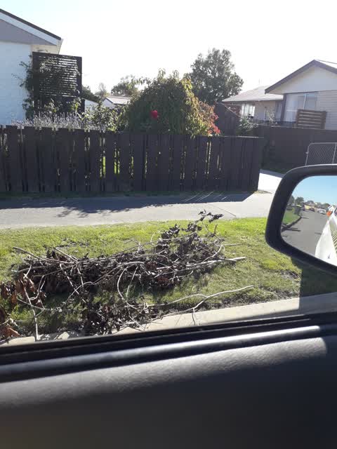 Rubbish/Recycling, a report photo