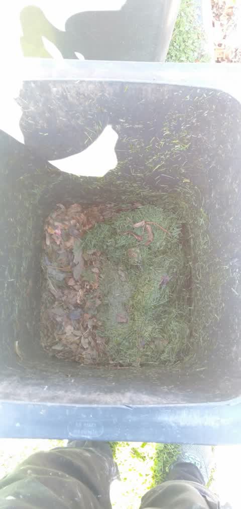 Rubbish/Recycling, a report photo