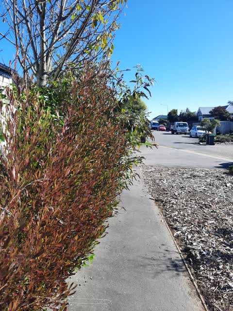 Roading/Streets, a report photo