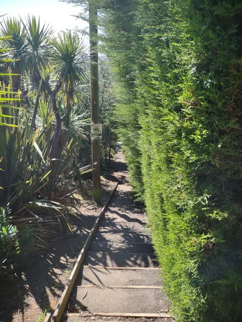 Roading/Streets, a report photo