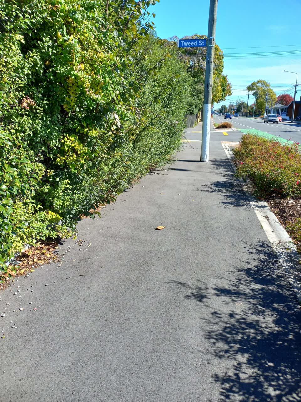 The photograph attached to this roading/streets report
