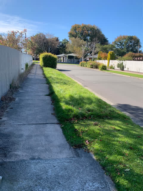 Rubbish/Recycling, a report photo