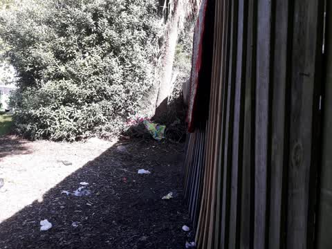 Parks, a report photo