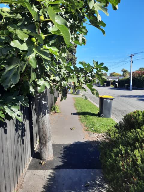 Roading/Streets — a report photo