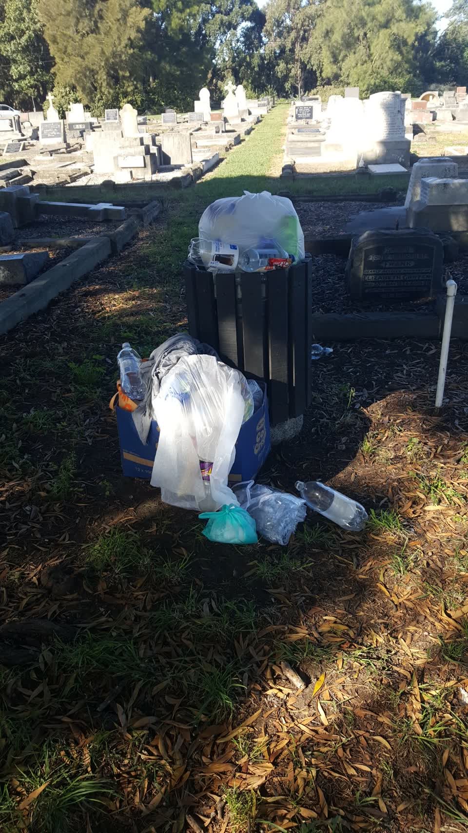 The photograph attached to this parks report