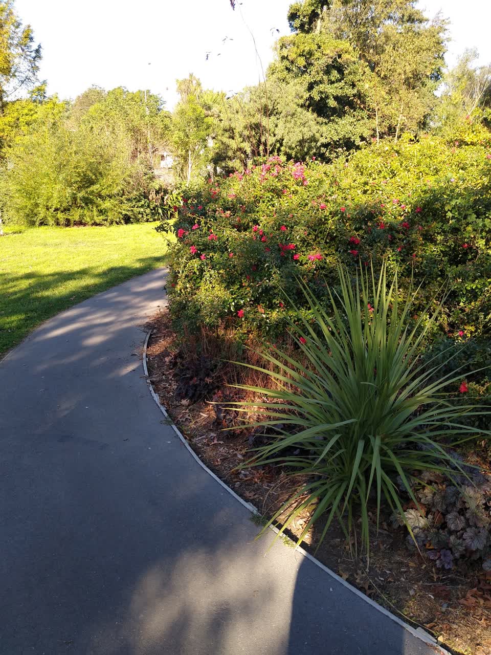 The photograph attached to this parks report