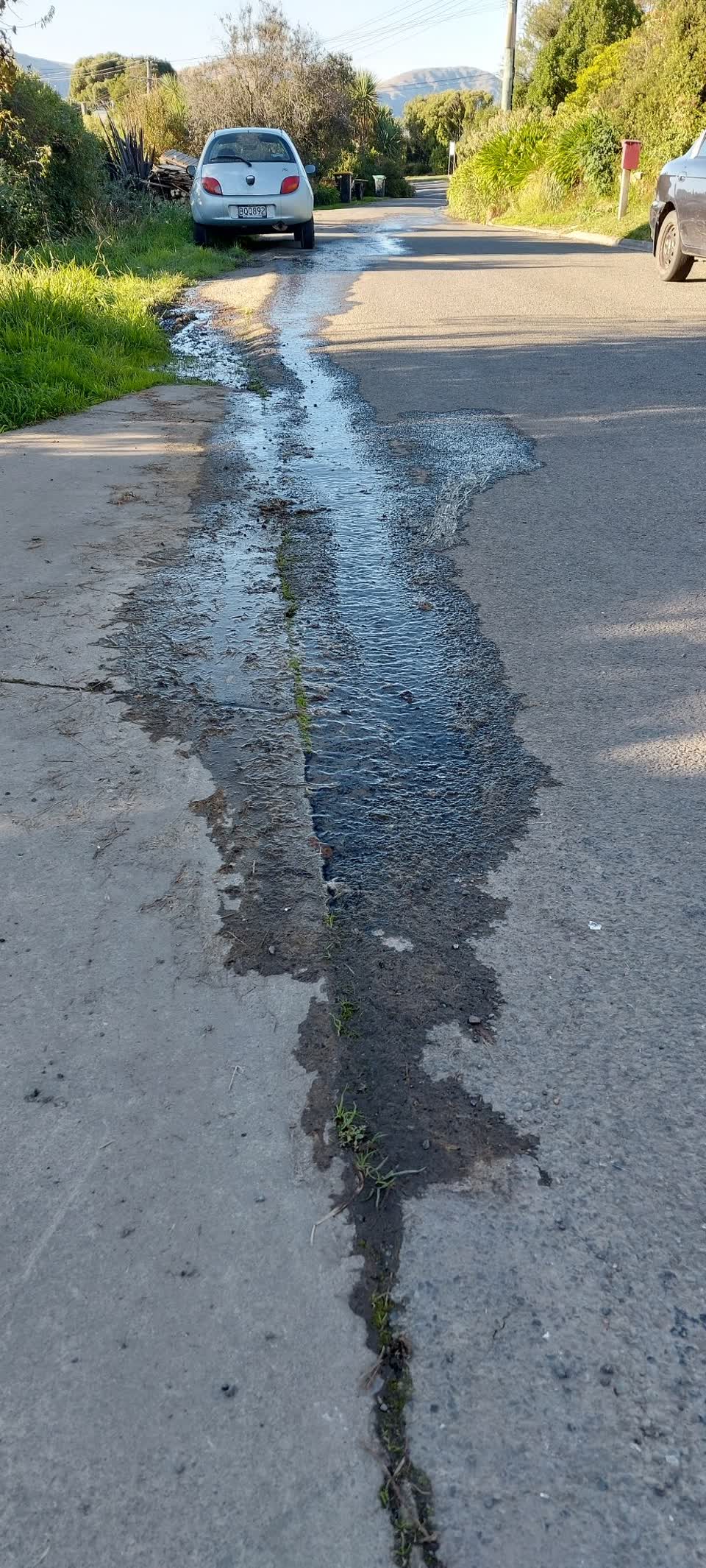 The photograph attached to this water leak report