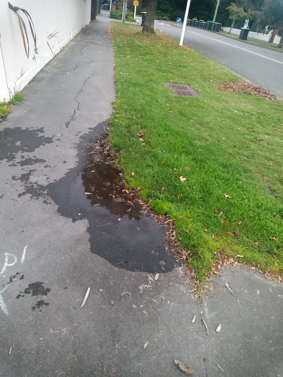 The photograph attached to this water leak report