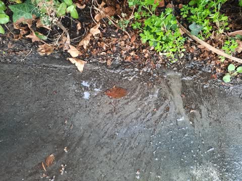 Water Leak, a report photo