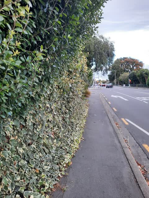 Roading/Streets, a report photo