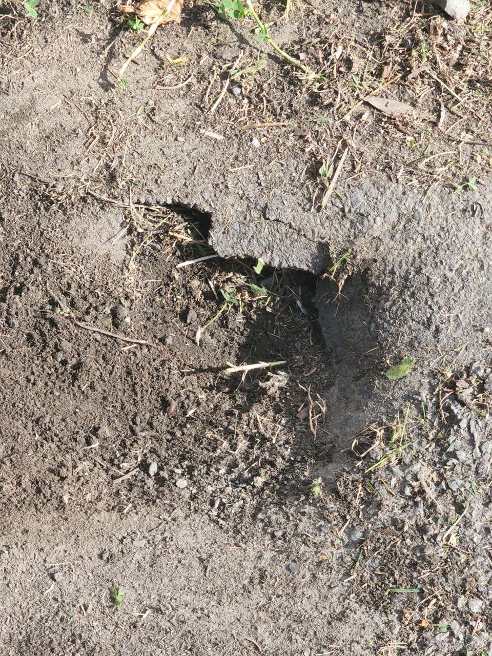The photograph attached to this roading/streets report