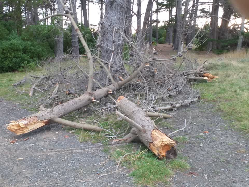 The photograph attached to this parks report