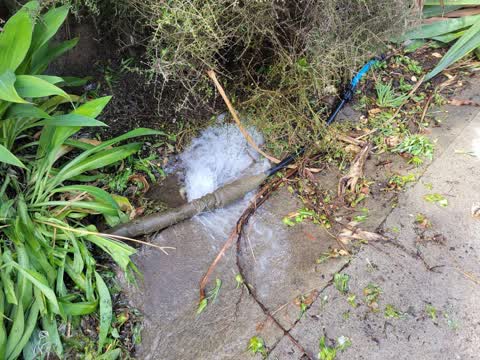 Water Supply, a report photo