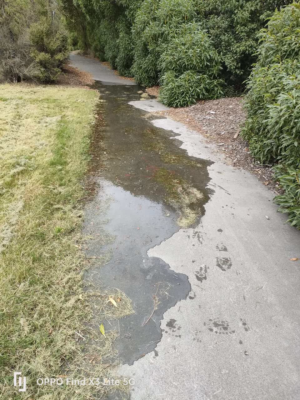 The photograph attached to this flooding report