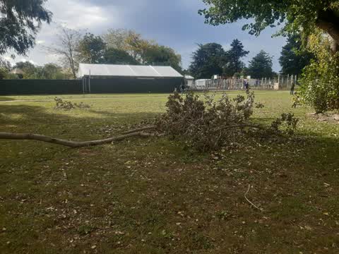 Parks — a report photo