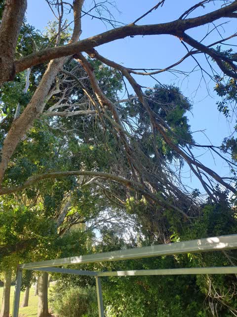 Parks, a report photo