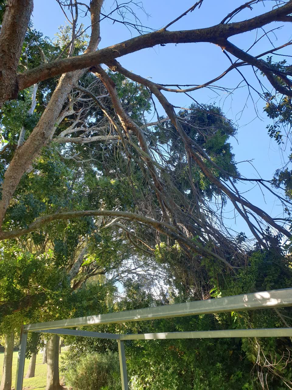 The photograph attached to this parks report