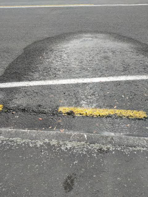 Water Leak, a report photo