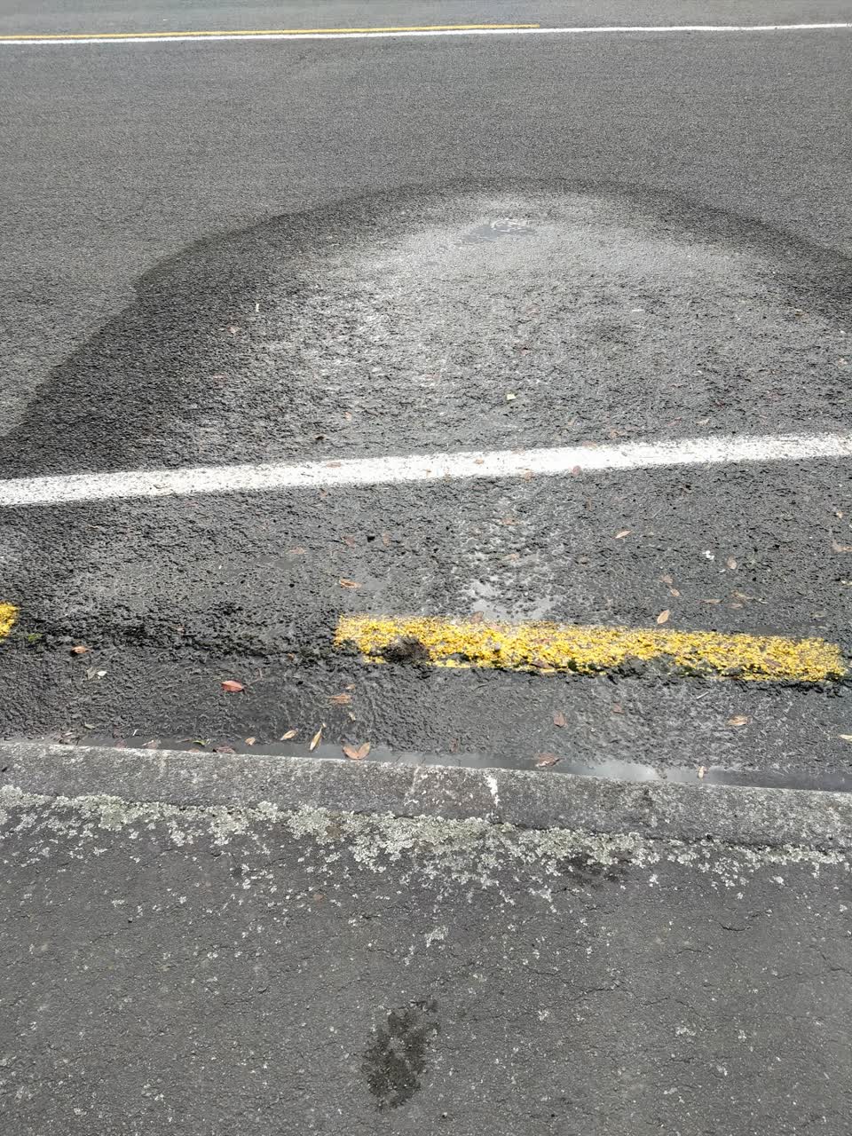 The photograph attached to this water leak report
