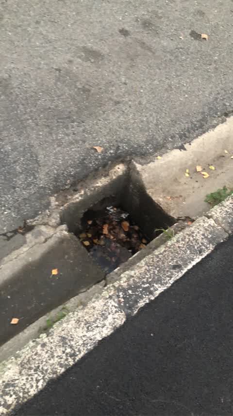Wastewater/Stormwater, a report photo
