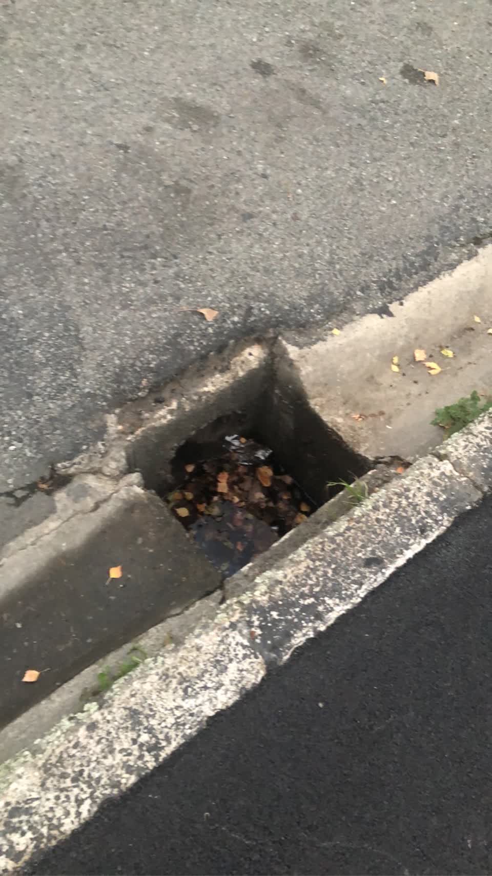 The photograph attached to this wastewater/stormwater report