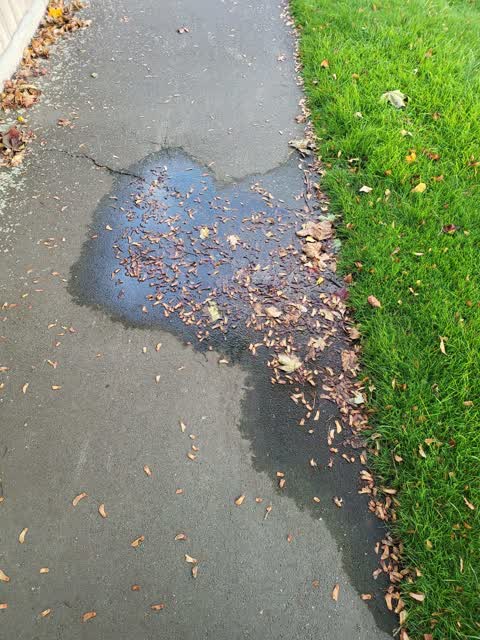 Water Leak, a report photo