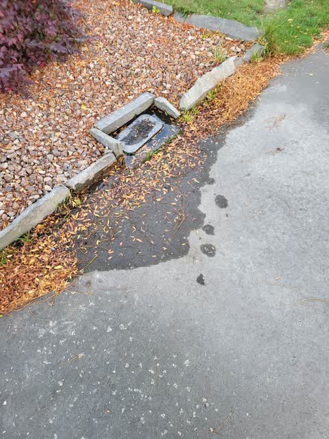 Water Leak, a report photo
