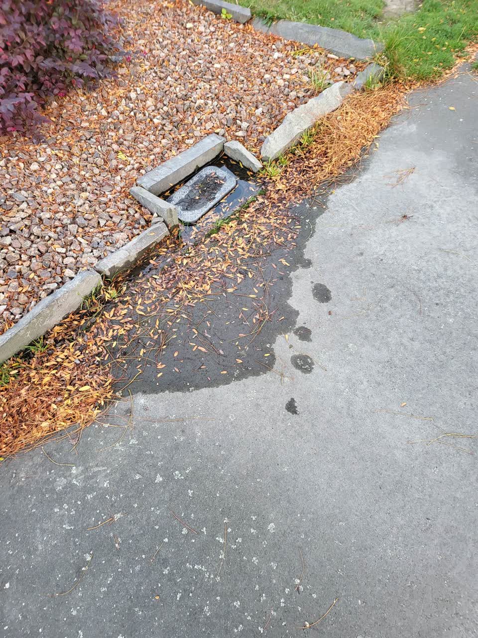 The photograph attached to this water leak report