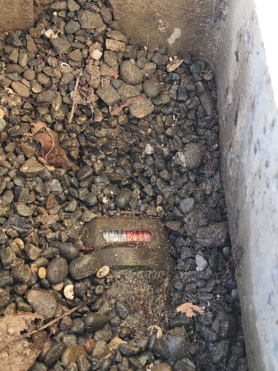 The photograph attached to this water leak report