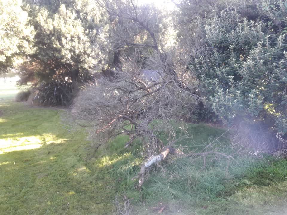 The photograph attached to this parks report