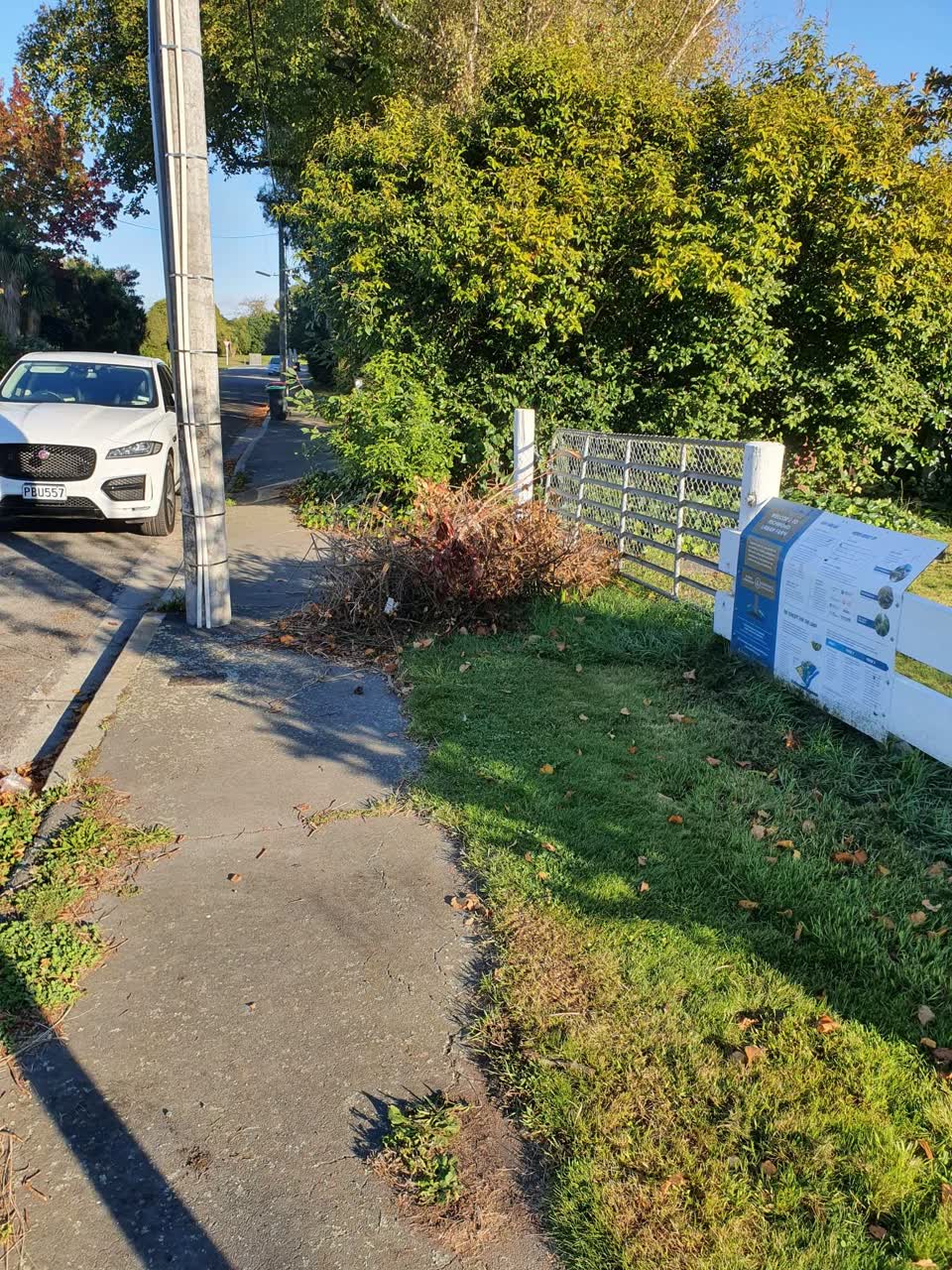 The photograph attached to this parks report