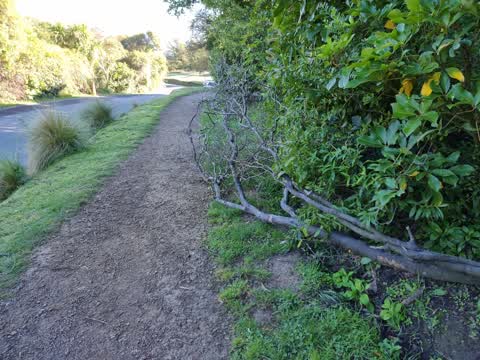 Parks, a report photo