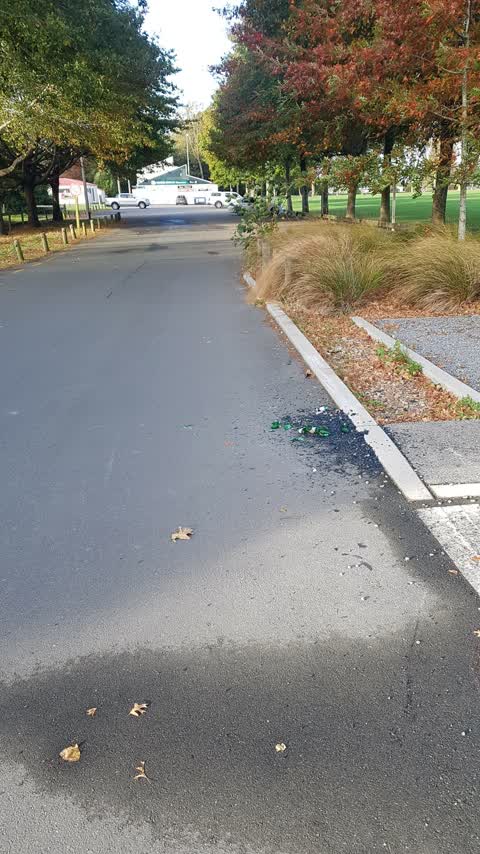 Rubbish/Recycling, a report photo