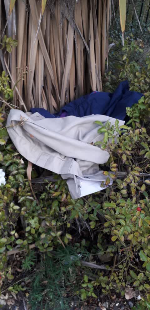Rubbish/Recycling, a report photo