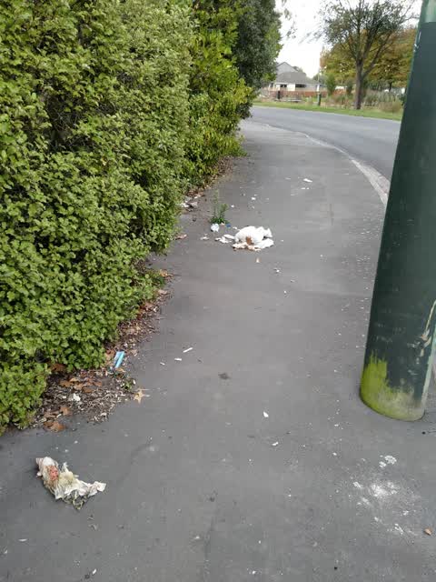 Rubbish/Recycling, a report photo